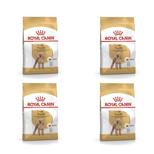 ROYAL CANIN Poodle Adult | 4er Pack | 4 x 500 g | Trockenfutter für ausgewachsene Pudel | Zur Unterstützung des Fells und des Muskeltonus | Für Hunde ab dem 10. Lebensmonat von ROYAL CANIN