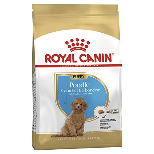 Royal Canin Poodle Puppy | 3 kg | Alleinfuttermittel für Pudel-Welpen | Bis zum 10. Monat | Zur Unterstützung der Abwehrkräfte & Fellqualität | Mit Omega-3 & Antioxidantien von ROYAL CANIN