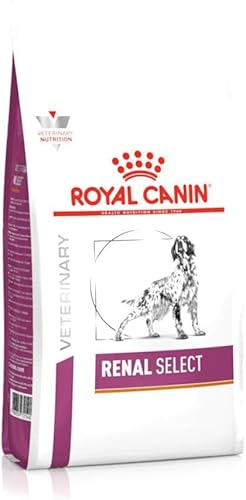 Royal Canin Veterinary Renal Special 2 kg | Diät-Alleinfuttermittel für ausgewachsene Hunde Aller Größen | Niedriger Phosphatgehalt | Zur Unterstützung der Nierenfunktion von ROYAL CANIN