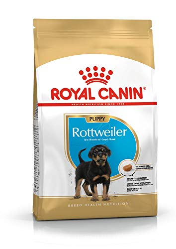 Royal Canin Rottweiler 31 Junior 3 kg, 1er Pack (1 x 3 kg) von ROYAL CANIN