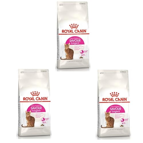 ROYAL CANIN Savour Exigent | 3er Pack | 3 x 400 g | Alleinfuttermittel für besonders wählerische Katzen ab dem 12. Monat | Kann dazu beitragen die Harnwegsgesundheit zu fördern von ROYAL CANIN