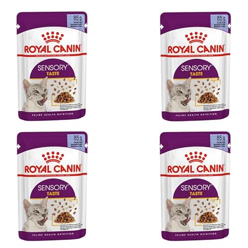 ROYAL CANIN Sensory Taste | 4er Pack | 4 x 12 x 85 g | Alleinfuttermittel für ausgewachsene Katzen | Stückchen in Gelee | Kann dabei helfen den Geschmackssinn anzuregen von ROYAL CANIN
