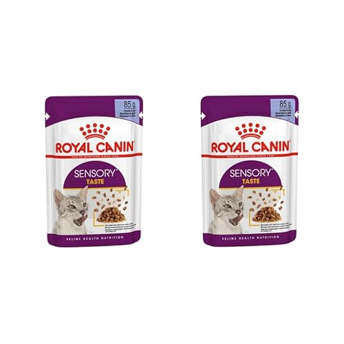 ROYAL CANIN Sensory Taste | Doppelpack | 2 x 12 x 85 g | Alleinfuttermittel für ausgewachsene Katzen | Stückchen in Gelee | Kann dabei helfen den Geschmackssinn anzuregen von ROYAL CANIN