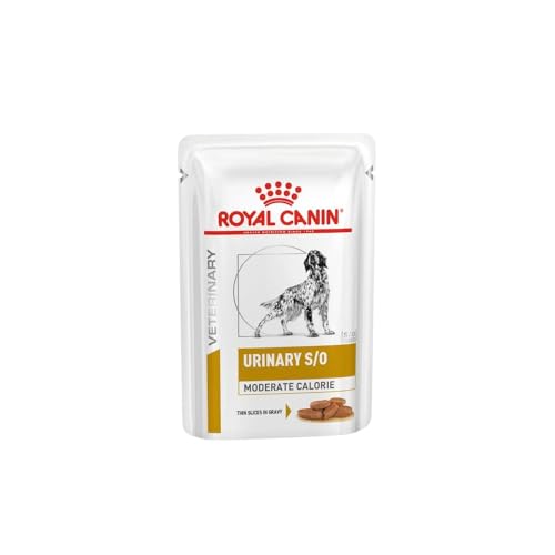 Royal Canin Veterinary URINARY S /O Moderate Calorie | 12 x 100 g | Diät-Alleinfuttermittel für ausgewachsene Hunde | Zur Auflösung von Struvitsteinen von ROYAL CANIN