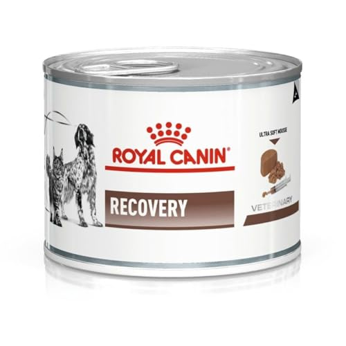 Royal Canin Vet Dog/Cat Recovery, 1er Pack (1 x 195 g) von ROYAL CANIN