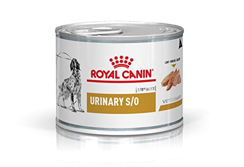 Royal Canin Vet Dog Urinary, 1er Pack (1 x 200 g) von ROYAL CANIN