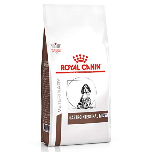 ROYAL CANIN Veterinary Gastrointestinal Puppy | 2,5 kg | Diät-Alleinfuttermittel für Hundewelpen | Zur Unterstützung der Verdauung | Für optimales Wachstum | Tierärztliche Rezeptur ROYAL CANIN Veterinary Gastrointestinal Puppy | 2,5 kg | Diät-Alleinfuttermittel für Hundewelpen | Zur Unterstützung der Verdauung | Für optimales Wachstum | Tierärztliche Rezeptur von ROYAL CANIN