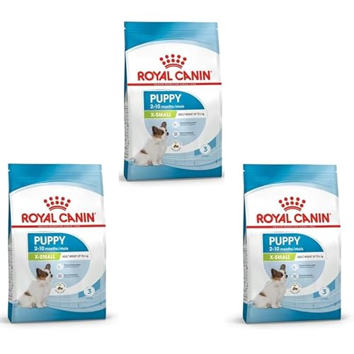 Royal Canin X-SMALL Puppy | 3er Pack | 3 x 500g | Trockenfutter für Welpen sehr Kleiner Hunderassen | Kann zur normalen Funktion des Immunsystems beitragen | Mit Omega-3 von ROYAL CANIN