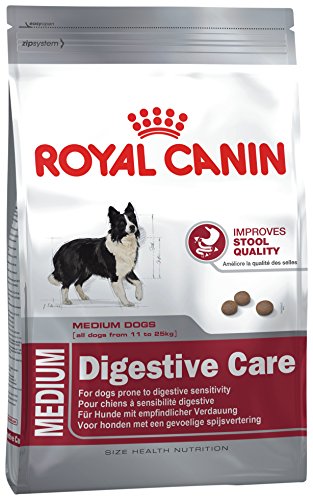 Royal Canin (ROYBJ) Hundefutter Medium Digestive Care, 1er Pack (1 x 15 kg) von ROYAL CANIN