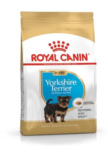 Royal Canin Yorkshire Terrier Puppy | 500 g | Trockenfutter für Yorkshire Terrier Welpen bis zum 10. Monat | Zur Unterstützung des Immunsystems | Für schönes Fell und gute Zähne von ROYAL CANIN