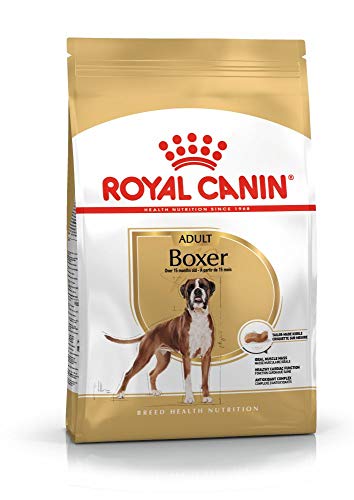 Royal Canin 35141 Breed Boxer 12 kg - Hundefutter von ROYAL CANIN