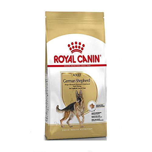 Royal Canin 35293 Breed Deutscher Schäferhund 12 kg- Hundefutter von ROYAL CANIN