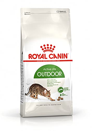 Royal Canin 55177 Outdoor 4 kg - Katzenfutter von ROYAL CANIN