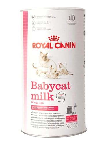 Royal Canin Babycat Milk | 300 g | Milchaustausch-Futtermittel für Katzenwelpen | Von der Geburt bis zur Entwöhnung (0-2 Monate)| Für ein harmonisches Wachstum von ROYAL CANIN