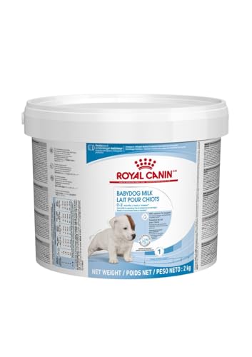 Royal Canin Babydog Milk | 2000 g | Welpen Milch in Pulverform | Zur Unterstützung des Verdauungssystems | Angepasster Laktosegehalt | Enthält hochverdauliche Proteine Royal Canin Babydog Milk | 2000 g | Welpen Milch in Pulverform | Zur Unterstützung des Verdauungssystems | Angepasster Laktosegehalt | Enthält hochverdauliche Proteine von Royal Canin