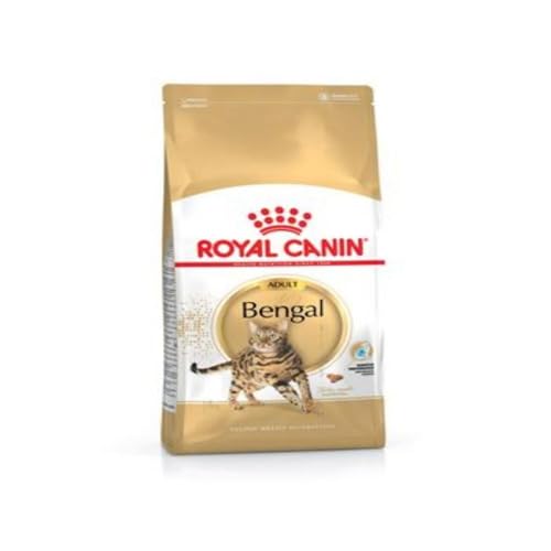 Royal Canin Bengal Adult, 1er Pack (1 x 2 kg) von Royal Canin