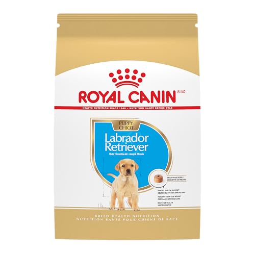 ROYAL CANIN Breed Health Nutrition Labrador Retriever Puppy Dry Dog Food, 30-Pound by Royal Canin von ROYAL CANIN