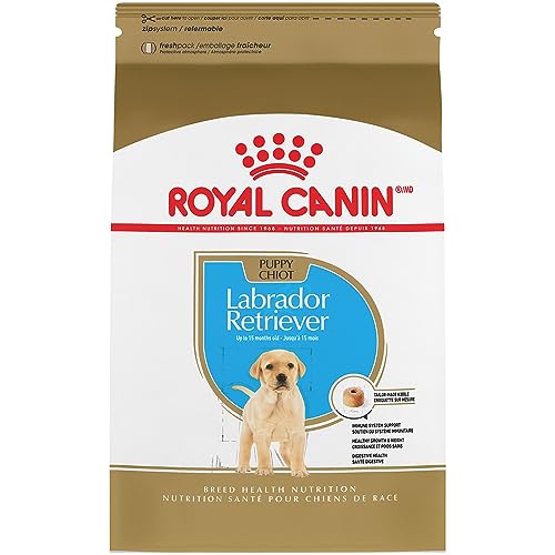 ROYAL CANIN Breed Health Nutrition Labrador Retriever Puppy Dry Dog Food, 30-Pound by Royal Canin von ROYAL CANIN