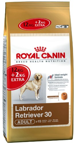Royal Canin Breed Labrador Retriever 30 Adult, 1er Pack (1 x 14 kg Packung) von ROYAL CANIN