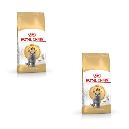 Royal Canin British Shorthair Adult | Doppelpack | 2 x 400 g | Alleinfuttermittel für British Shorthair Katzen | Speziell für Britisch Kurzhaar Katzen entwickelt | Ab dem 12. Monat Royal Canin British Shorthair Adult | Doppelpack | 2 x 400 g | Alleinfuttermittel für British Shorthair Katzen | Speziell für Britisch Kurzhaar Katzen entwickelt | Ab dem 12. Monat von ROYAL CANIN