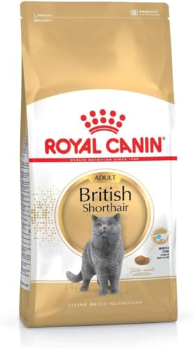 Royal Canin British Shorthair Adult Trockenfutter, 400 g von ROYAL CANIN
