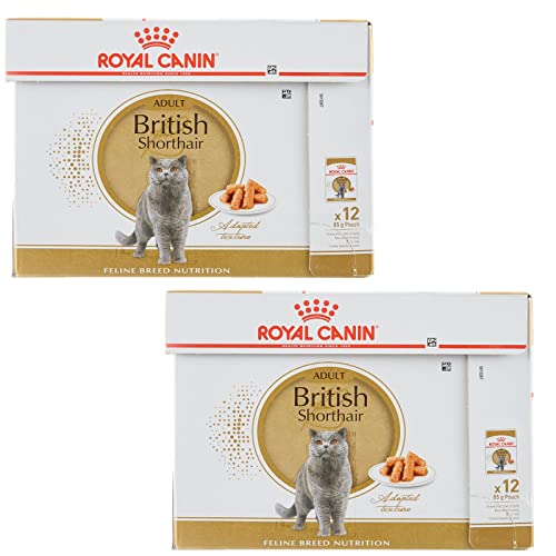 Royal Canin British Shorthair | Doppelpack | 2 x 12 x 85 g | Nassfutter für ausgewachsene Britisch Kurzhaar Katzen | Ab dem 12. Lebensmonat geeignet | Kleine Stückchen in Soße von ROYAL CANIN
