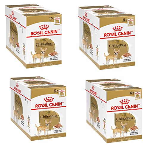 Royal Canin Chihuahua Adult | 4er Pack | 4 x 12 x 85 g | Nassfutter für ausgewachsene Chihuahuas | Zur Unterstützung der Stuhlqualität und der Zahngesundheit | Hohe Akzeptanz von ROYAL CANIN