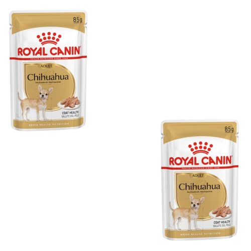 Royal Canin Chihuahua Adult | Doppelpack | 2 x 12 x 85 g | Nassfutter für ausgewachsene Chihuahuas | Zur Unterstützung der Stuhlqualität und der Zahngesundheit | Hohe Akzeptanz von ROYAL CANIN