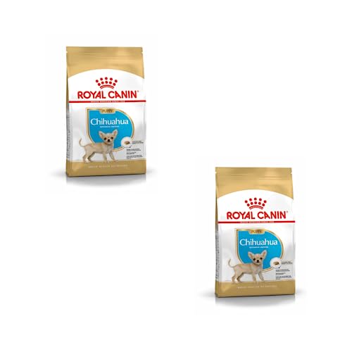 Royal Canin Chihuahua Puppy | Doppelpack | 2 x 500 g | Alleinfuttermittel speziell für Chihuahua-Welpen | Bis zum 8. Monat | Kann zur Reduzierung von Stuhlgeruch beitragen von ROYAL CANIN