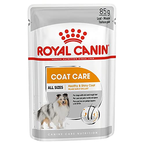 Royal Canin Coat Care Pate Nassfutter für ausgewachsene Hunde ab dem 10. Lebensmonat - Hunde mit stumpfem und trockenem Fell 24 x 85g von ROYAL CANIN