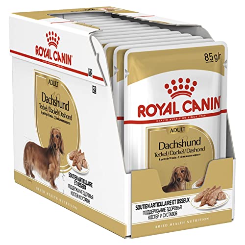 Royal Canin Dachshund Adult, 1er Pack (1 x 1.02 kg) von ROYAL CANIN
