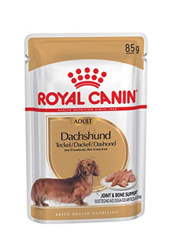 Royal Canin Dachshund Adult, 1er Pack (1 x 1.02 kg) von ROYAL CANIN