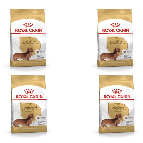 ROYAL CANIN Dachshund Adult | 4er Pack | 4 x 500 g | Alleinfuttermittel für Hunde | Speziell für ausgewachsene Dackel | Kann dabei unterstützen die Knochen und Gelenke zu schützen von ROYAL CANIN