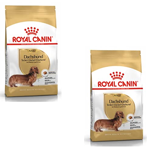 ROYAL CANIN Dachshund Adult | Doppelpack | 2 x 500 g | Trockenfutter für ausgewachsene und ältere Dackel | Zur Unterstützung der Knochen und Gelenke | Zur Muskelentspannung von ROYAL CANIN