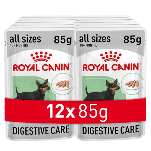 Royal Canin Digestive Care | 12 x 85 g | Nassfutter für ausgewachsene Hunde | Ab dem 10. Lebensmonat | Für Hunde mit empfindlicher Verdauung geeignet Royal Canin Digestive Care | 12 x 85 g | Nassfutter für ausgewachsene Hunde | Ab dem 10. Lebensmonat | Für Hunde mit empfindlicher Verdauung geeignet von ROYAL CANIN
