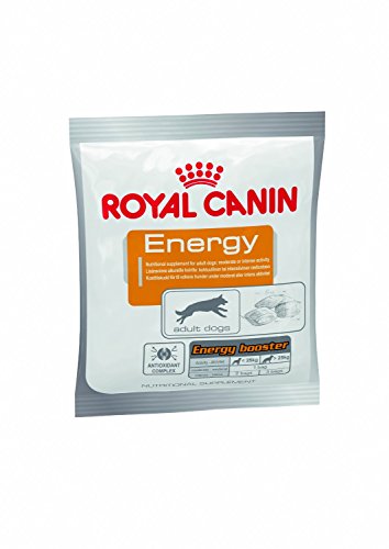 Royal Canin Dog Energy Dry Mix 50 g (Pack of 30) von ROYAL CANIN