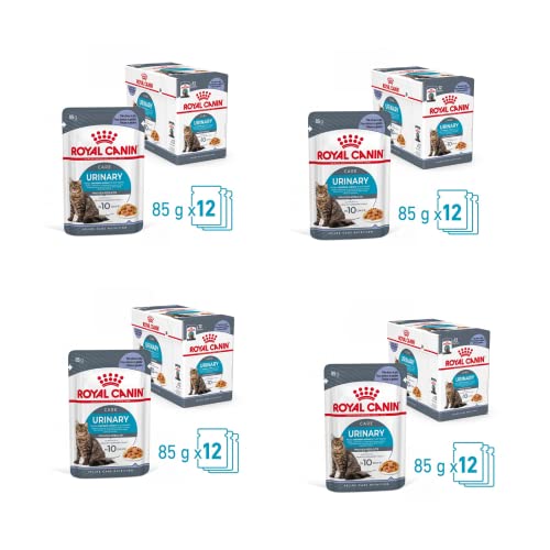 Royal Canin FCN Urinary Care Jelly | 4er Pack | 4 x 12 x 85 g | Alleinfuttermittel für ausgewachsene Katzen (Gelee) | Kann dabei helfen die Harnwegsgesundheit zu unterstützen von ROYAL CANIN