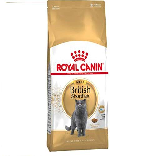 Royal Canin Feline British Shorthair, 1er Pack (1 x 2 kg Beutel) - Katzenfutter von ROYAL CANIN