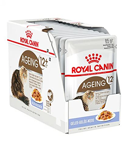 Royal Canin Feline Portionsbeutel Multipack Ageing Plus 12 in Gelee 12x85g, 1er Pack (1 x 1.02 kg) von ROYAL CANIN