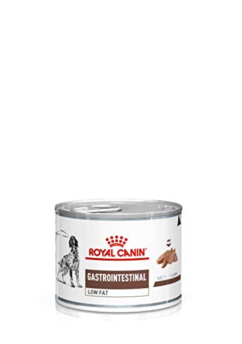 Royal Canin Veterinary Gastrointestinal Low Fat Mousse | 12 x 200 g | Diät-Alleinfuttermittel für ausgewachsene Hunde | Zur Unterstützung der Verdauung | Niedriger Fettgehalt Royal Canin Veterinary Gastrointestinal Low Fat Mousse | 12 x 200 g | Diät-Alleinfuttermittel für ausgewachsene Hunde | Zur Unterstützung der Verdauung | Niedriger Fettgehalt von ROYAL CANIN