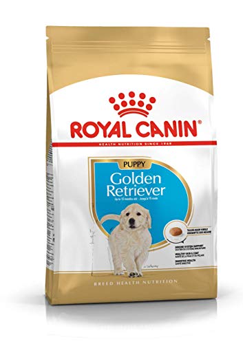 Royal Canin Golden Retriever Junior 3 kg, 1er Pack (1 x 3 kg) von ROYAL CANIN
