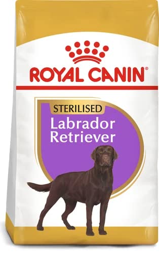 Royal Canin Hundefutter Labrador Retriever Sterilised, 12 kg, 1er Pack (1 x 12 kg) von ROYAL CANIN