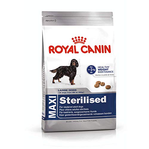 Royal Canin Hundefutter Maxi Sterilised,12 kg, 1er Pack (1 x 12 kg) von ROYAL CANIN