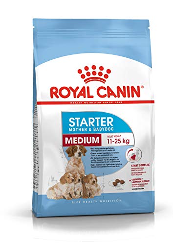 Royal Canin Hundefutter Medium Starter 4 kg, 1er Pack (1 x 4 kg) von ROYAL CANIN