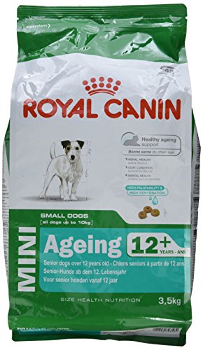 Royal Canin Hundefutter Mini Ageing +12, 3,5 kg, 1er Pack (1 x 3.5 kg) von ROYAL CANIN