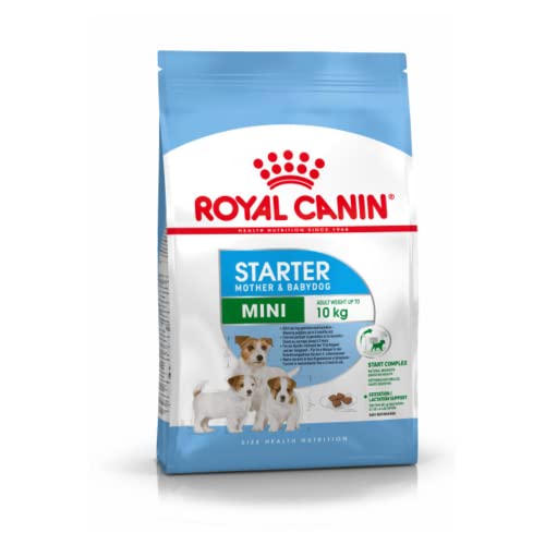 ROYAL CANIN Hundefutter Mini Starter 3 kg, 1er Pack (1 x 3 kg) von ROYAL CANIN