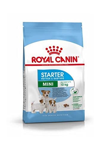 Royal Canin Hundefutter Mini Starter 3 kg, 1er Pack (1 x 3 kg) von ROYAL CANIN