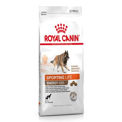 Royal Canin Hundefutter Sport Life Trail 15 kg, 1er Pack (1 x 15 kg) von ROYAL CANIN