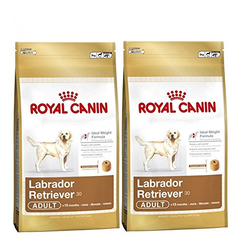Royal Canin Hundefutter für ausgewachsene Hunde, für Labrador, Retriever, 2 x 12 kg von ROYAL CANIN