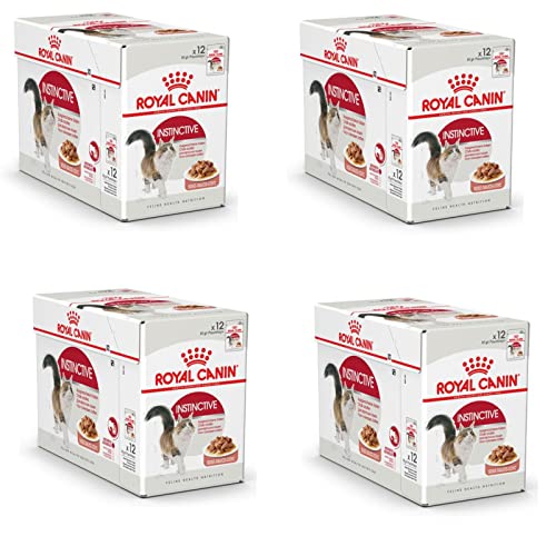Royal Canin Instinctive Gravy | 4er Pack | 4 x 12 x 85 g | Nassfutter für ausgewachsene Katzen | Kleine Stückchen in Soße | Zur Unterstützung eines gesundes Lebensstils Royal Canin Instinctive Gravy | 4er Pack | 4 x 12 x 85 g | Nassfutter für ausgewachsene Katzen | Kleine Stückchen in Soße | Zur Unterstützung eines gesundes Lebensstils von ROYAL CANIN